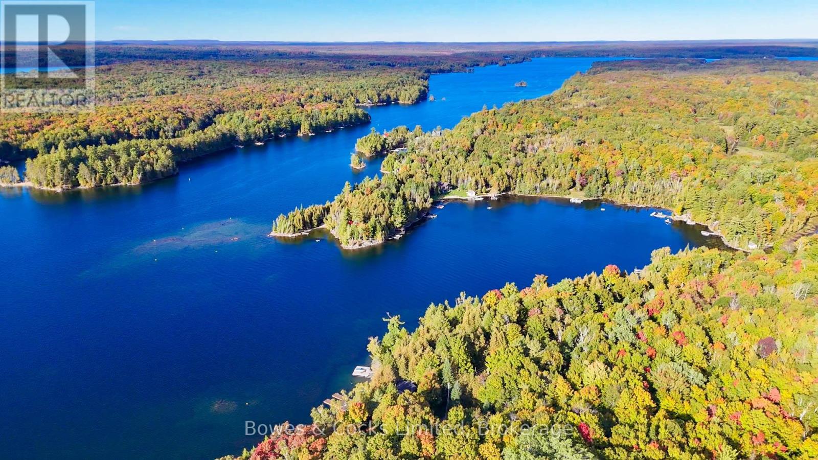 408 Couchs Road, North Kawartha, Ontario  K0L 1A0 - Photo 43 - X12910910