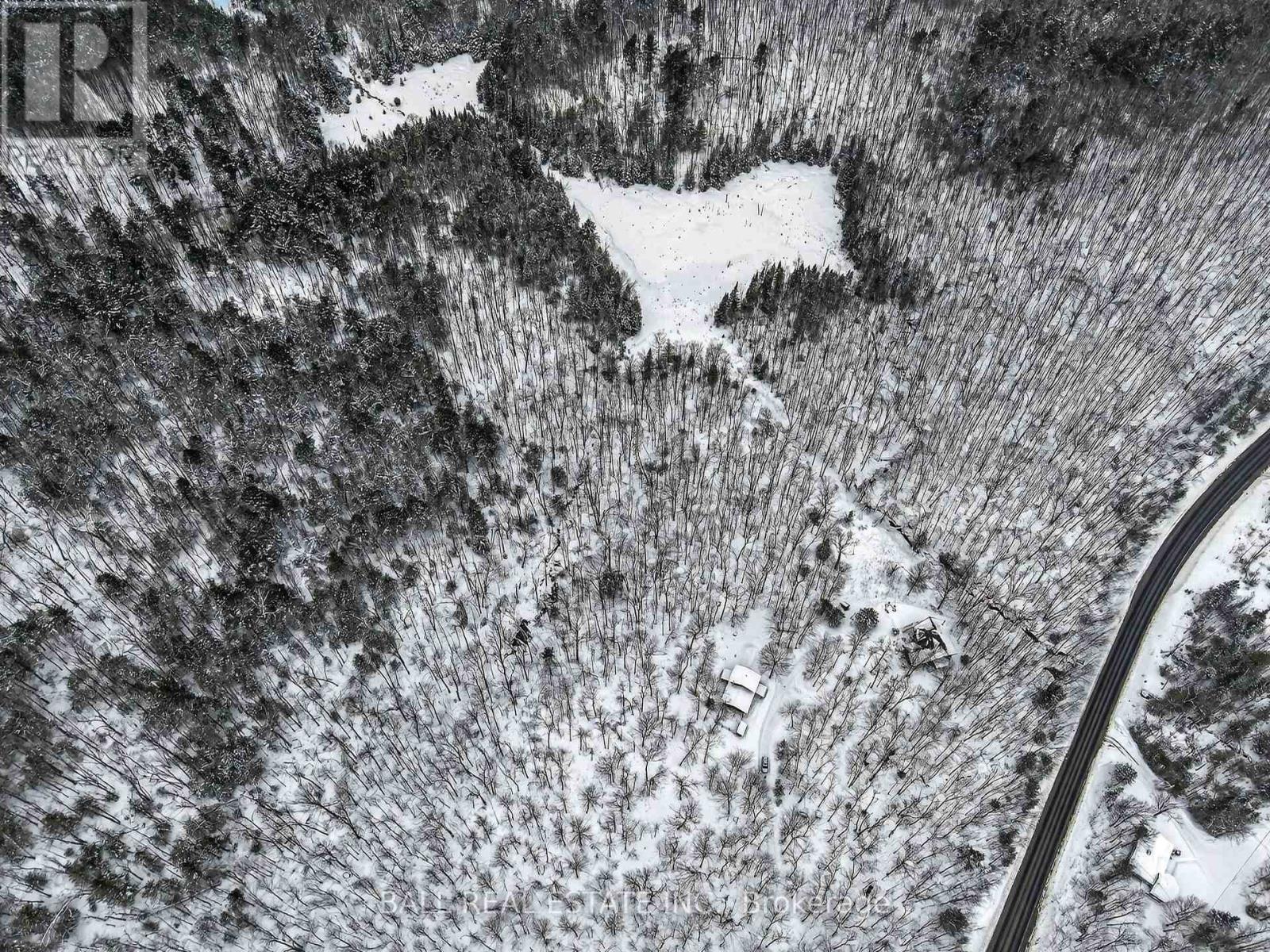 4107 County Rd 507, Trent Lakes, Ontario  K0L 1J0 - Photo 35 - X12911790