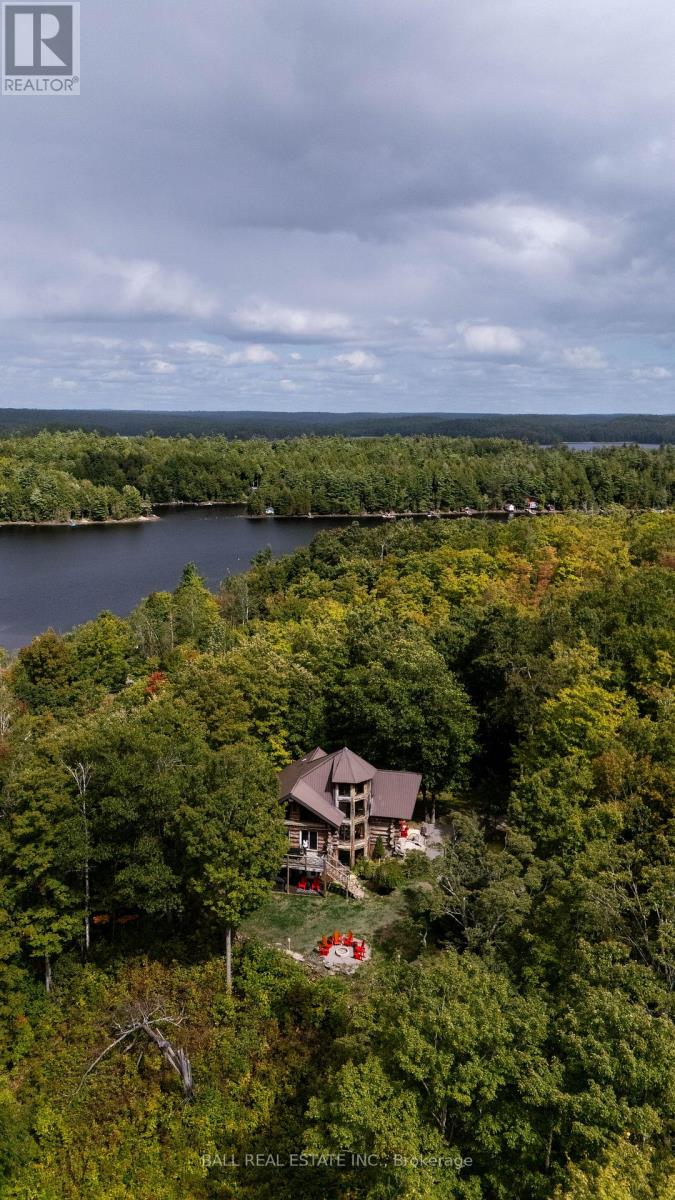 4107 County Rd 507, Trent Lakes, Ontario  K0L 1J0 - Photo 36 - X12911790