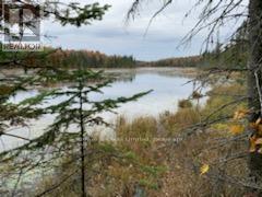 246 Hickey Trail, Hastings Highlands (Herschel Ward), Ontario  K0L 1C0 - Photo 14 - X12911906