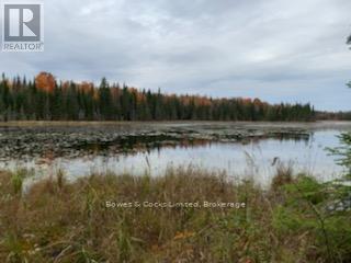 246 Hickey Trail, Hastings Highlands (Herschel Ward), Ontario  K0L 1C0 - Photo 15 - X12911906