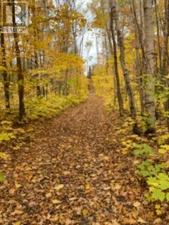 246 Hickey Trail, Hastings Highlands (Herschel Ward), Ontario  K0L 1C0 - Photo 16 - X12911906