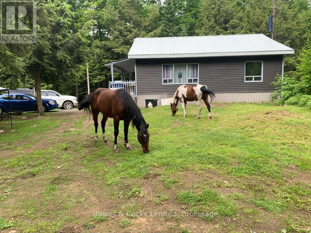 246 Hickey Trail, Hastings Highlands (Herschel Ward), Ontario  K0L 1C0 - Photo 17 - X12911906