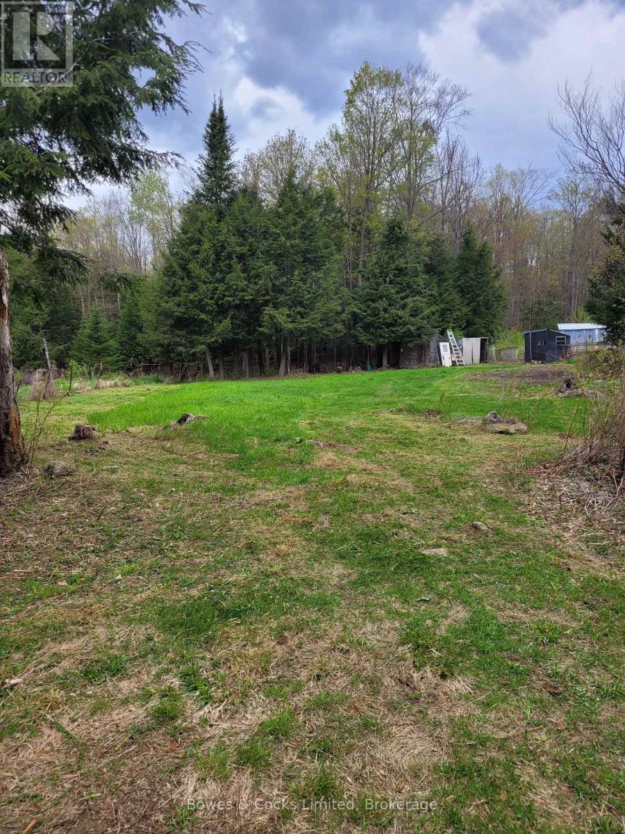 246 Hickey Trail, Hastings Highlands (Herschel Ward), Ontario  K0L 1C0 - Photo 3 - X12911906