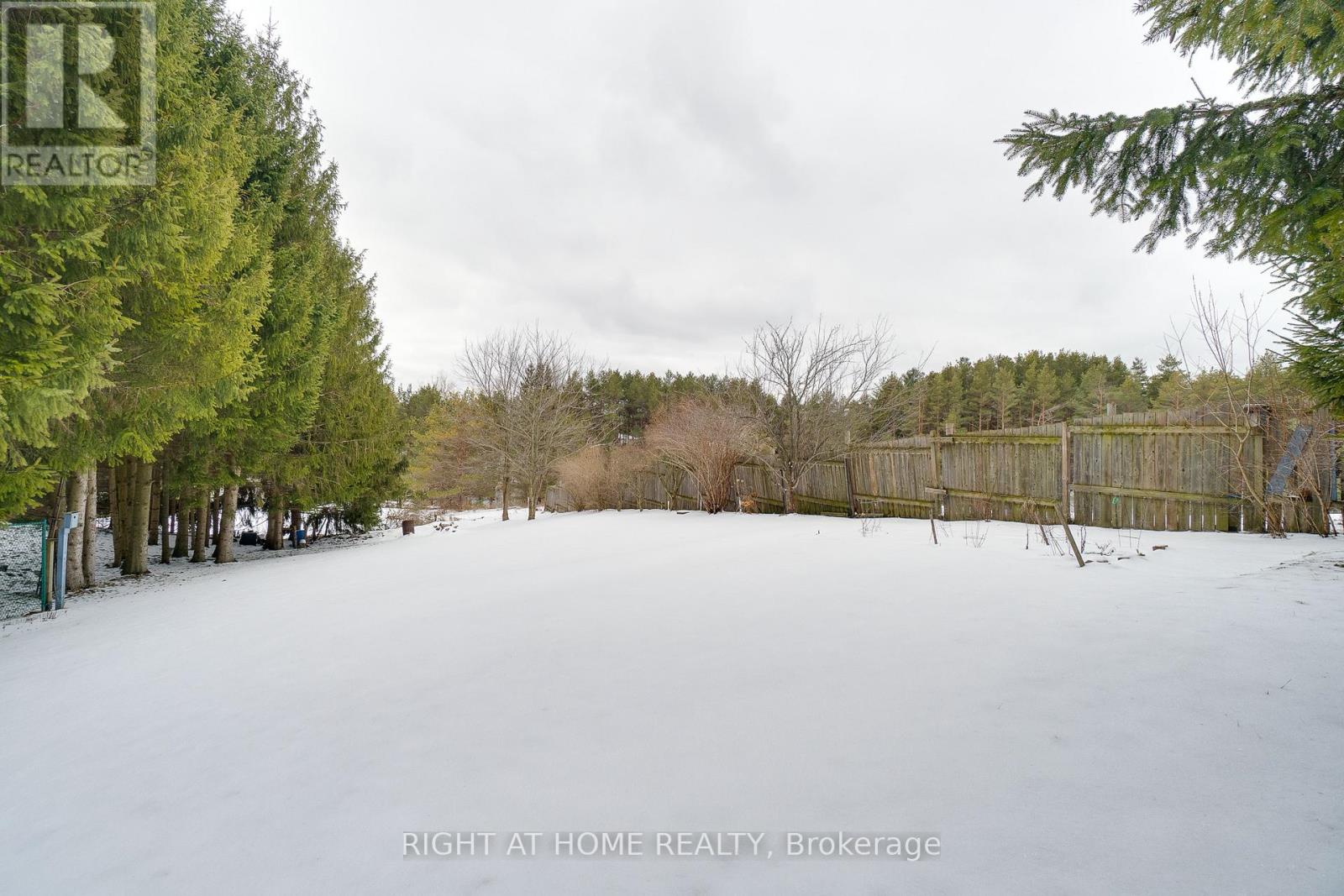 9632 County 10 Road, Port Hope, Ontario  L0A 1B0 - Photo 30 - X12913380