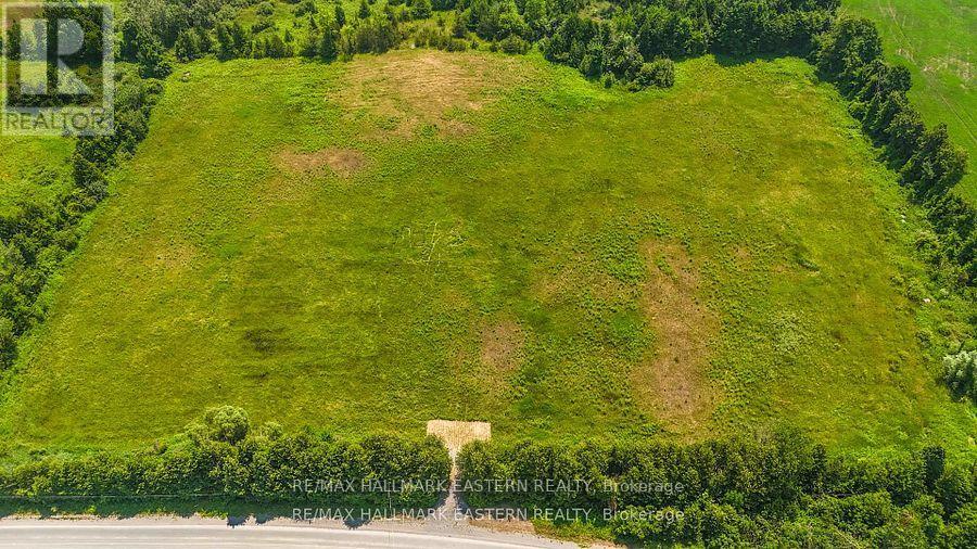 0 Con 10 Lot 5 Old Norwood Road, Havelock-Belmont-Methuen (Havelock), Ontario  K0L 1Z0 - Photo 4 - X12913904