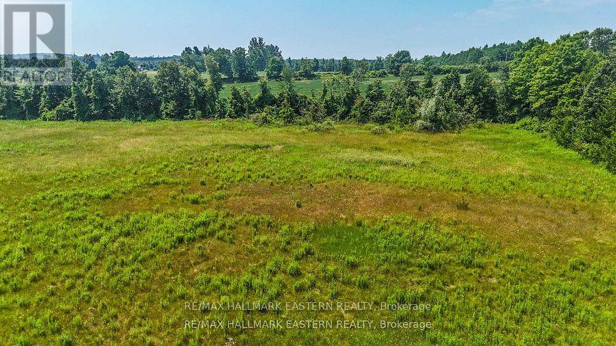 0 Con 10 Lot 5 Old Norwood Road, Havelock-Belmont-Methuen (Havelock), Ontario  K0L 1Z0 - Photo 5 - X12913904