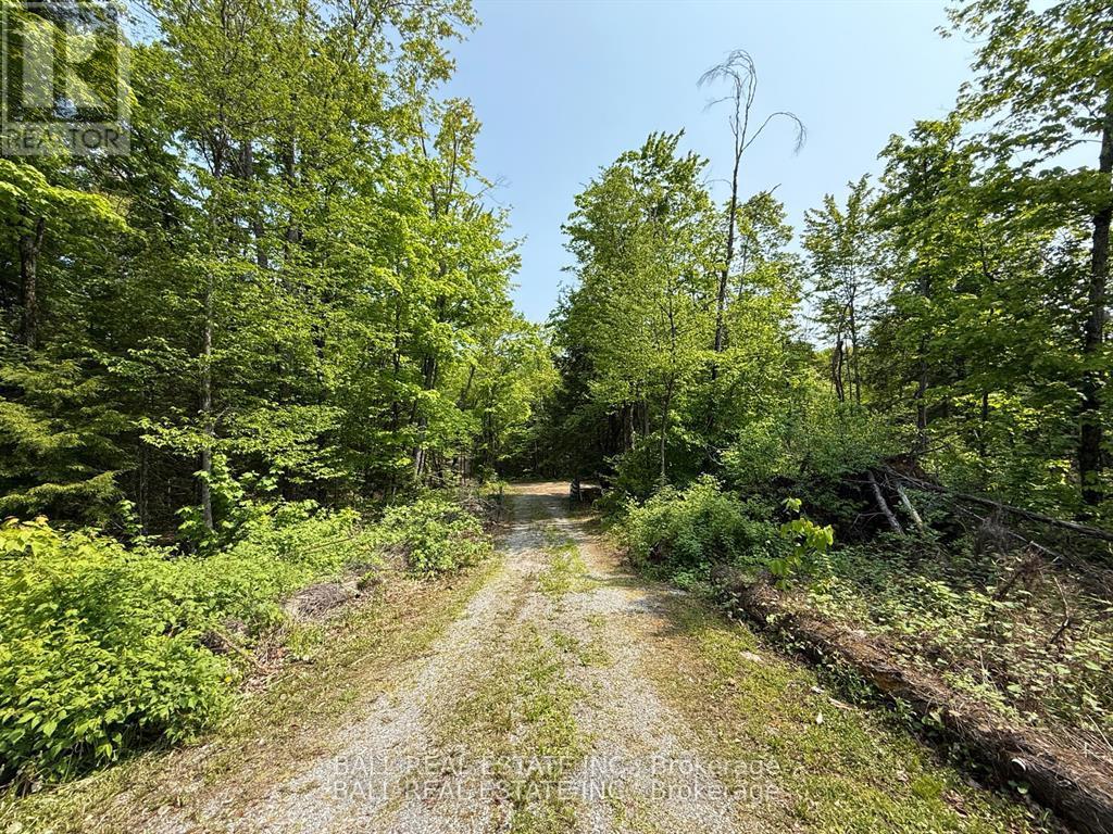 1854 The South Road, Wollaston, Ontario  K0L 1P0 - Photo 18 - X12914734