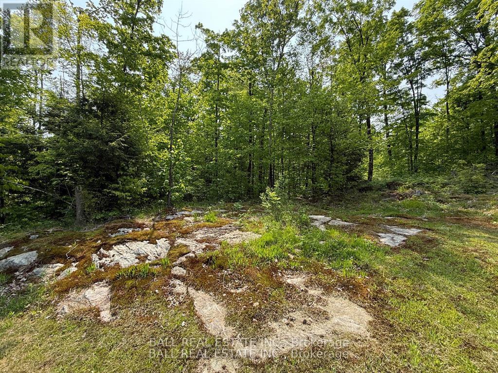 1854 The South Road, Wollaston, Ontario  K0L 1P0 - Photo 22 - X12914734