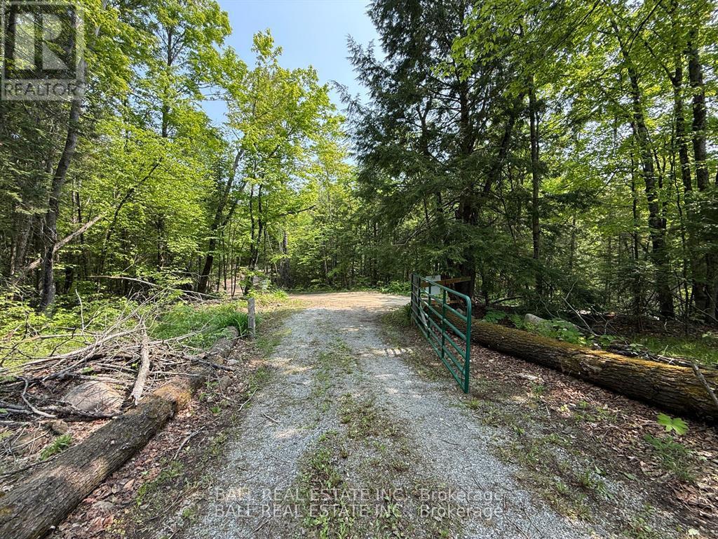 1854 The South Road, Wollaston, Ontario  K0L 1P0 - Photo 24 - X12914734