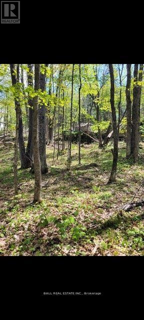 1854 The South Road, Wollaston, Ontario  K0L 1P0 - Photo 29 - X12914734