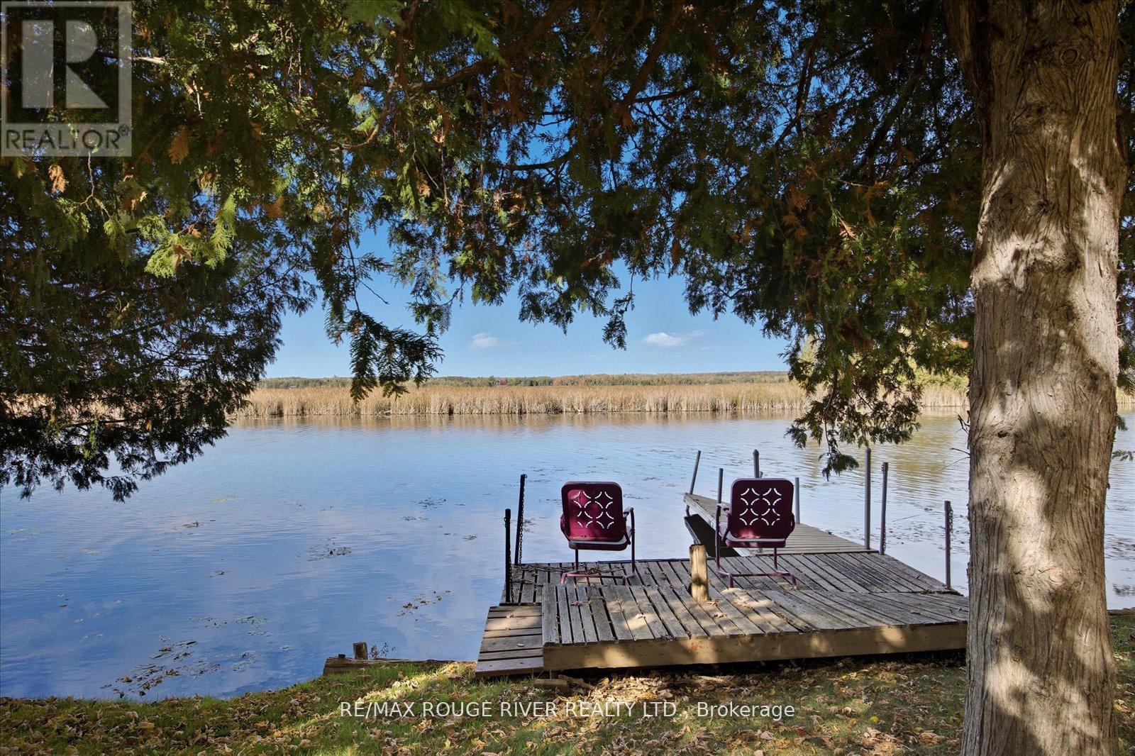 65 Cedarview Drive, Kawartha Lakes (Omemee), Ontario  K0L 2W0 - Photo 36 - X12914826