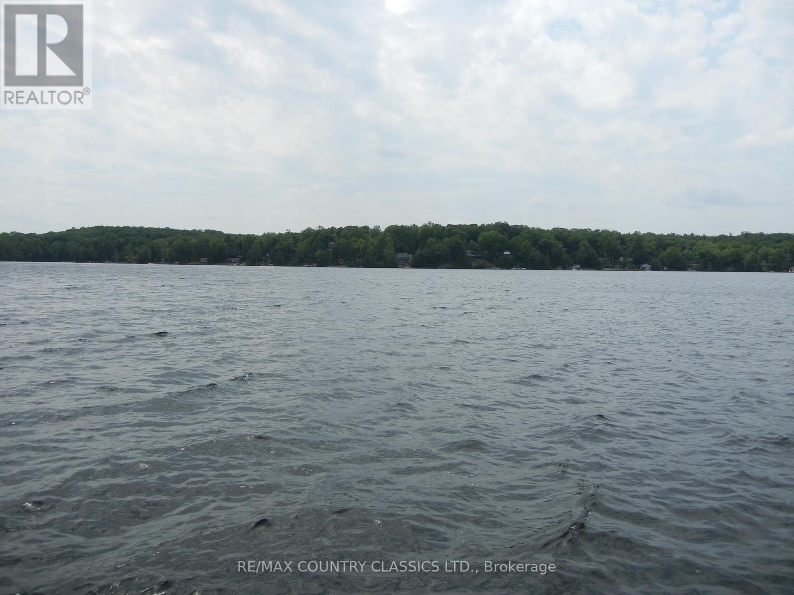 316 Trotter-Oitment Road, North Kawartha, Ontario  K0L 1A0 - Photo 10 - X12915050