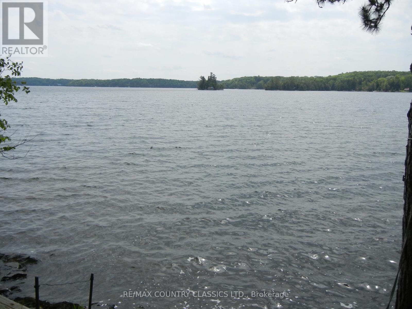 316 Trotter-Oitment Road, North Kawartha, Ontario  K0L 1A0 - Photo 7 - X12915050