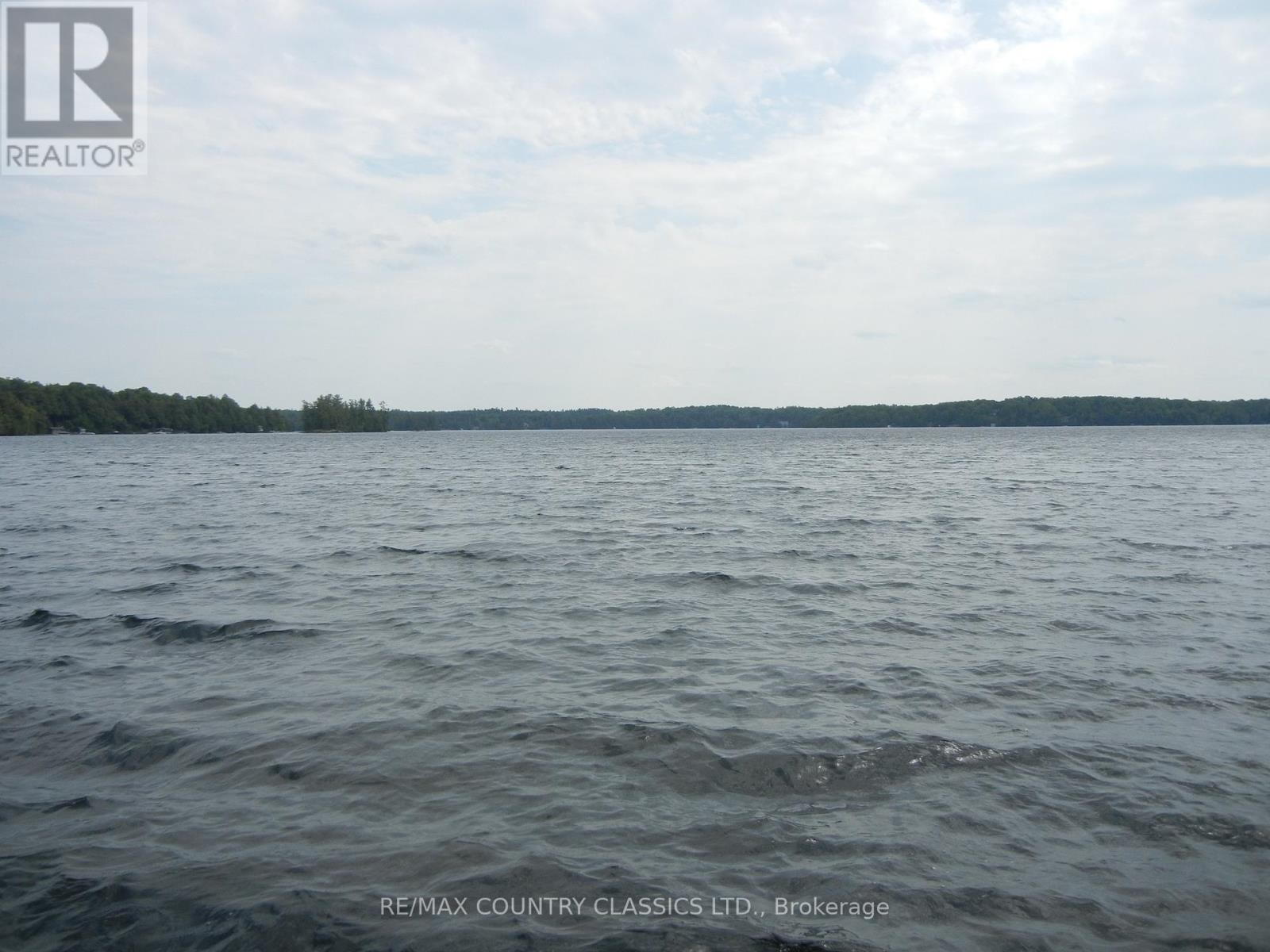 316 Trotter-Oitment Road, North Kawartha, Ontario  K0L 1A0 - Photo 8 - X12915050