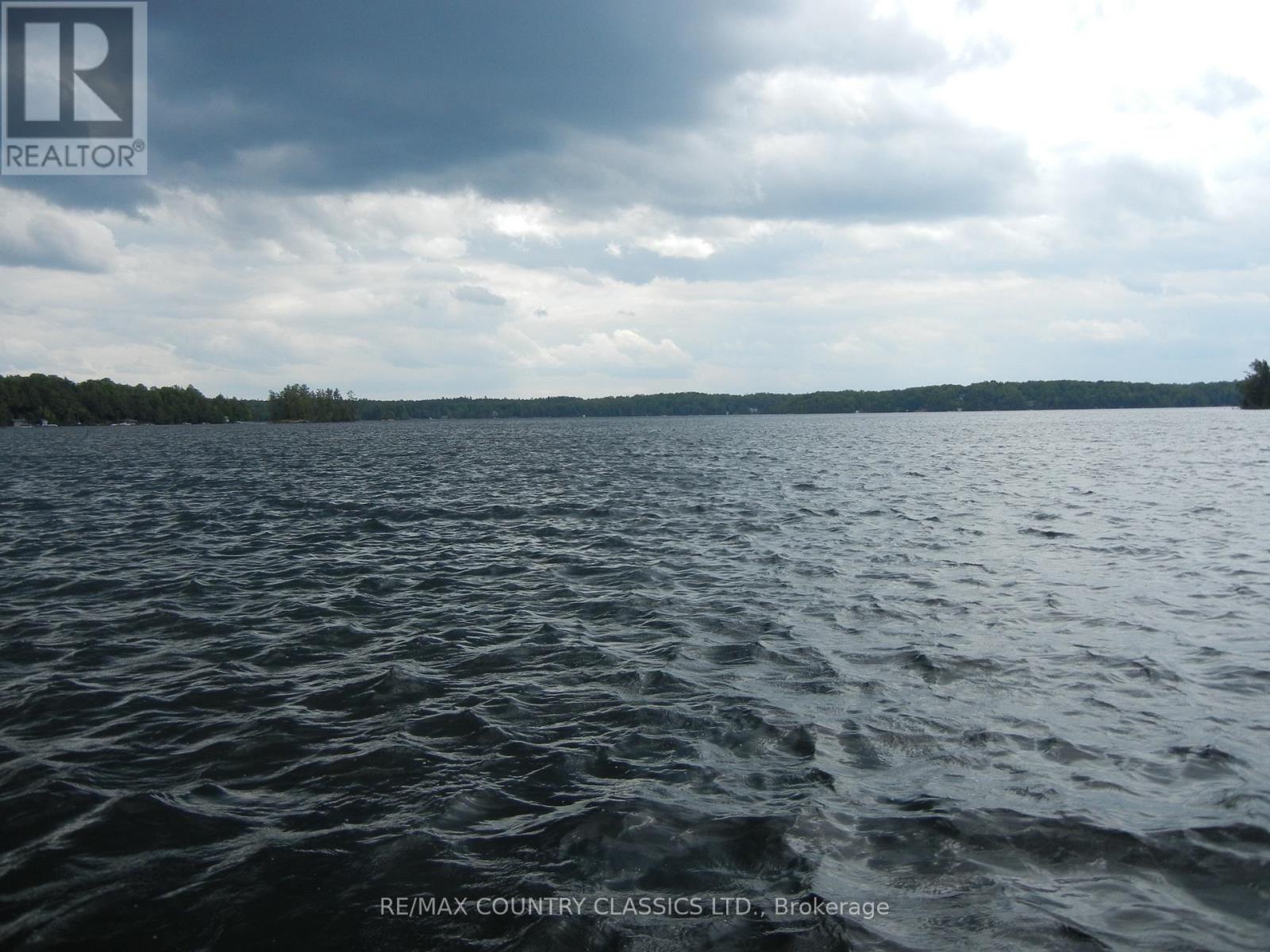 316 Trotter-Oitment Road, North Kawartha, Ontario  K0L 1A0 - Photo 9 - X12915050