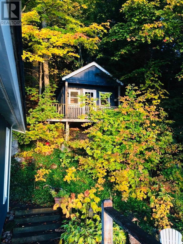 649 Anst Lake Wao, North Kawartha, Ontario  K0L 1A0 - Photo 37 - X12915052