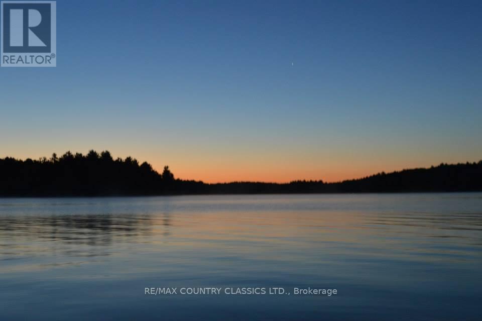 649 Anst Lake Wao, North Kawartha, Ontario  K0L 1A0 - Photo 41 - X12915052