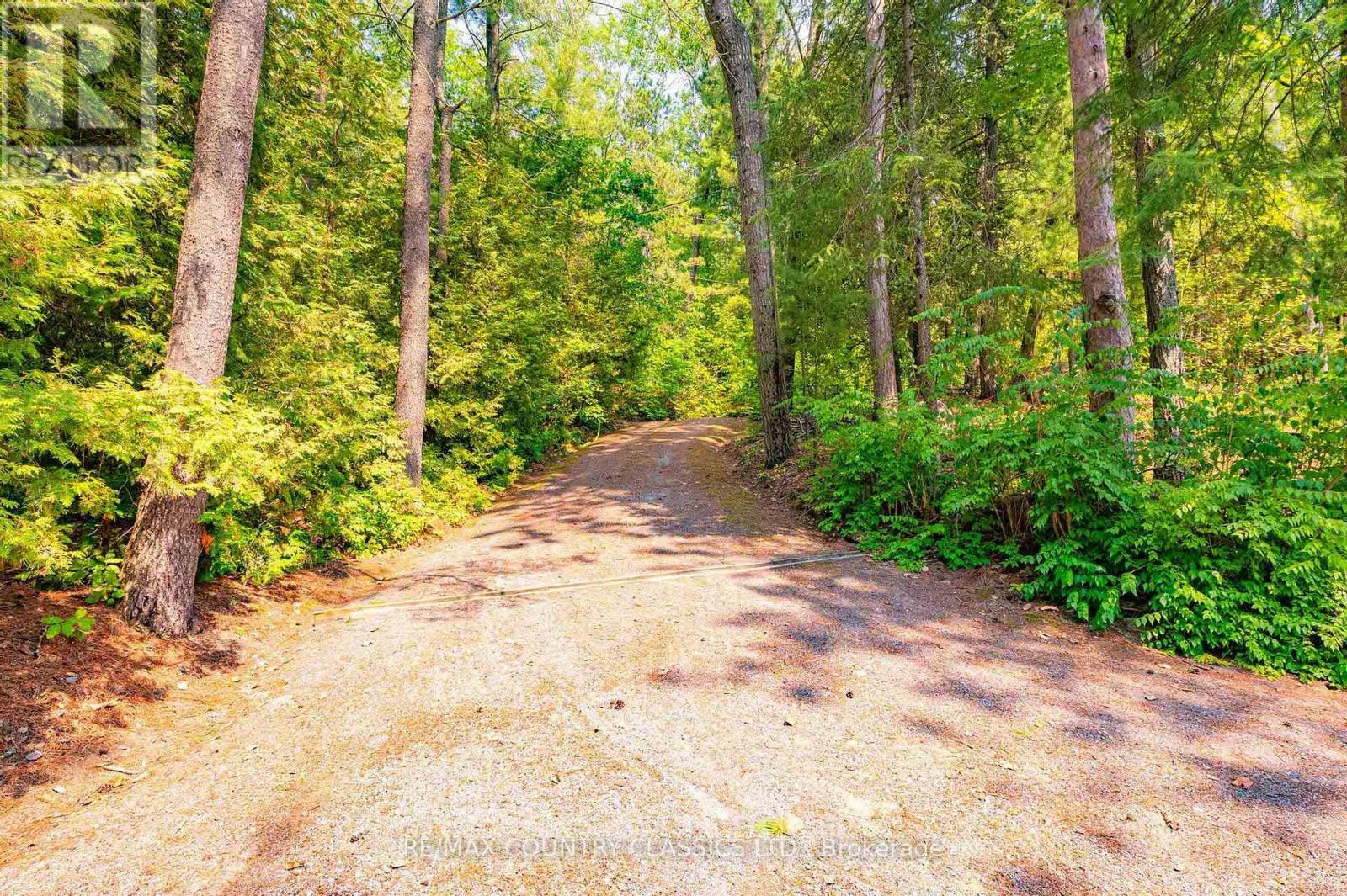 118 Quail Lane, North Kawartha, Ontario  K0L 1A0 - Photo 12 - X12915060