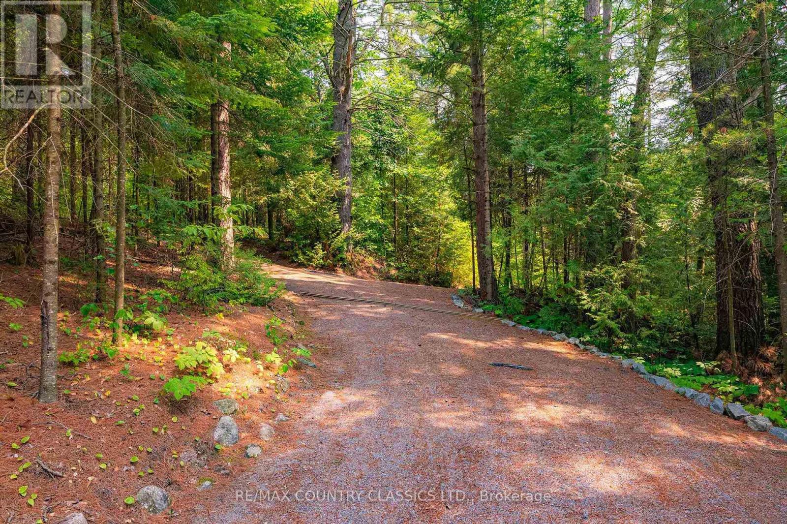 118 Quail Lane, North Kawartha, Ontario  K0L 1A0 - Photo 14 - X12915060