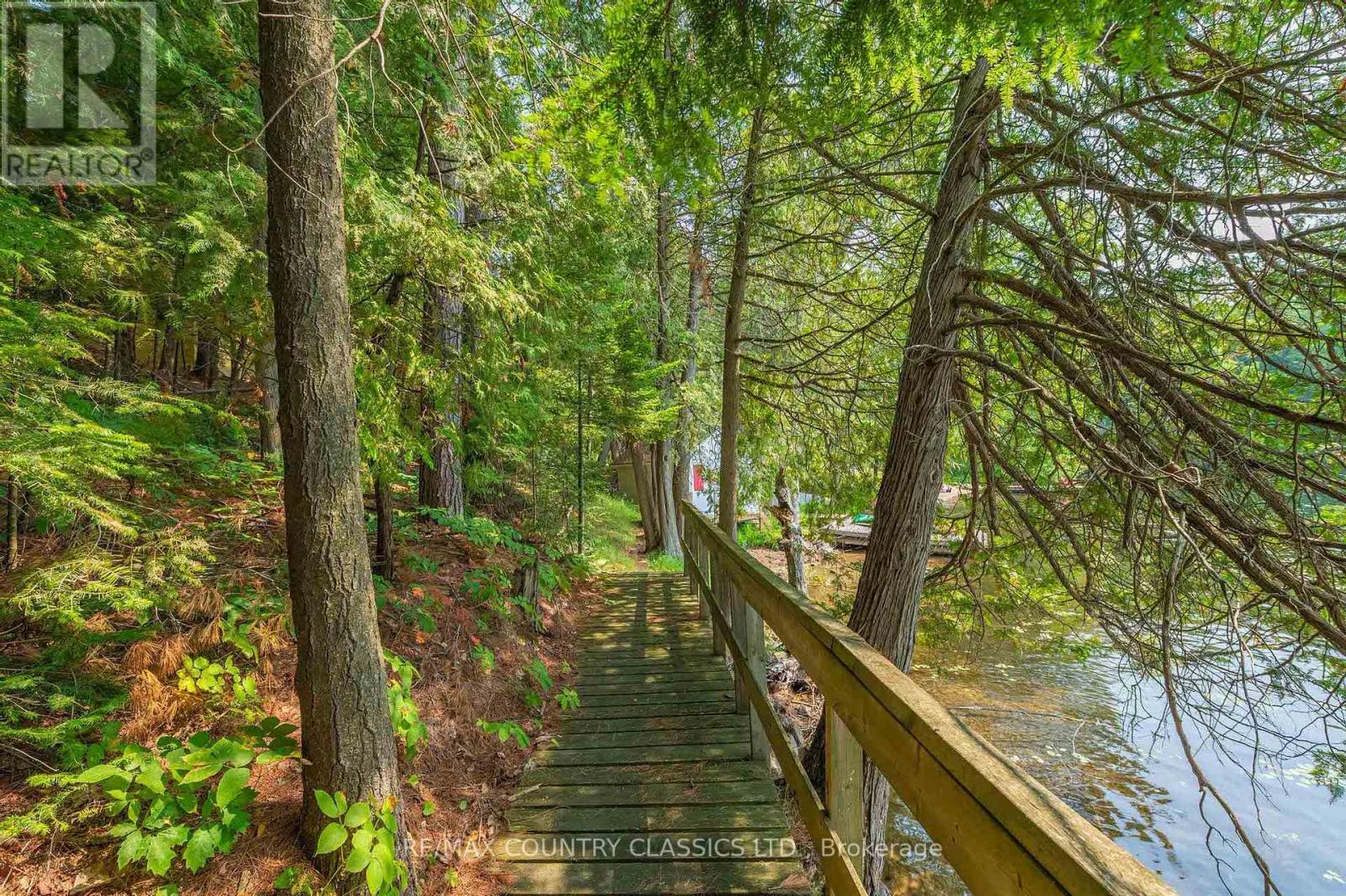 118 Quail Lane, North Kawartha, Ontario  K0L 1A0 - Photo 3 - X12915060