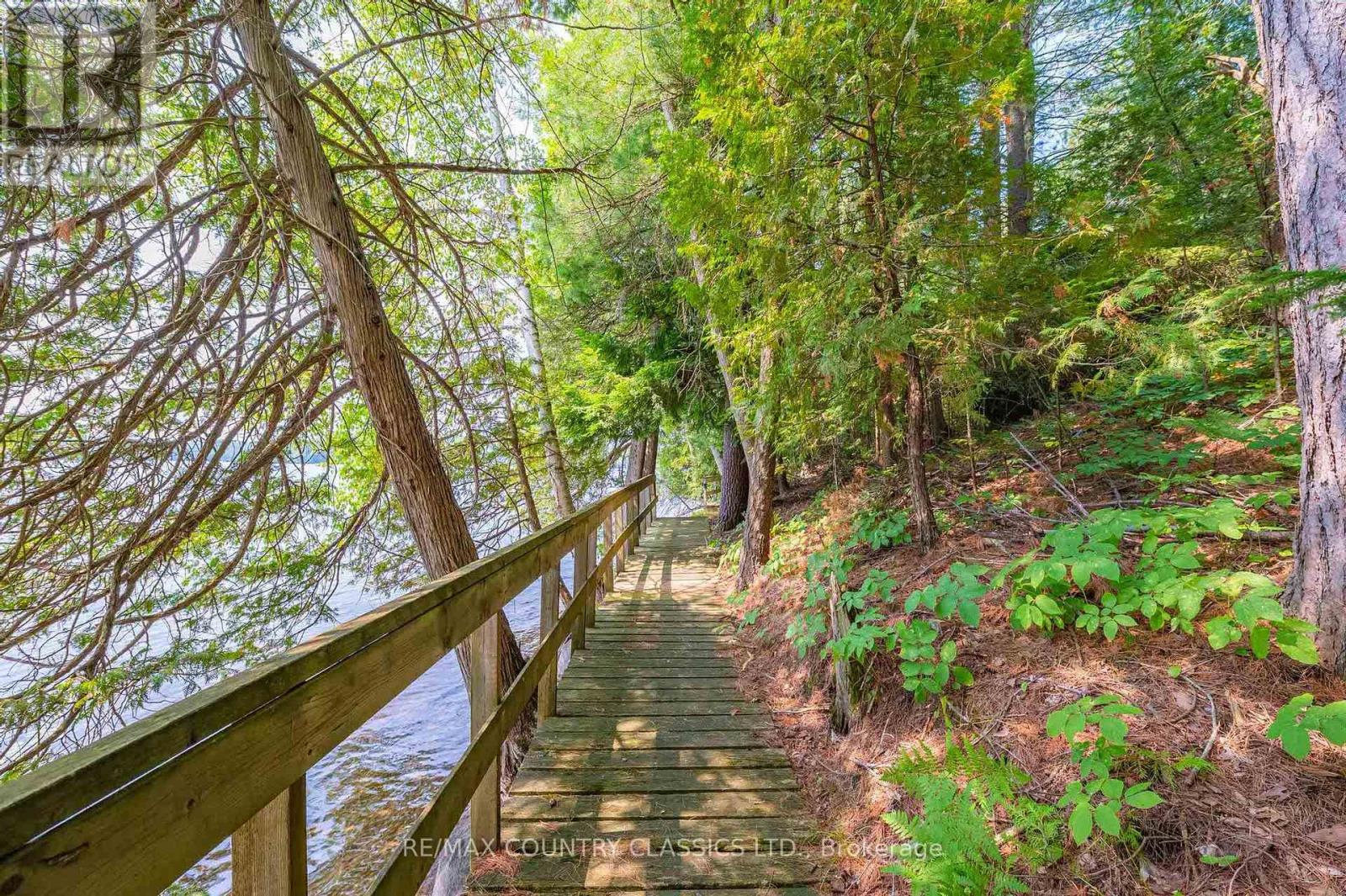 118 Quail Lane, North Kawartha, Ontario  K0L 1A0 - Photo 6 - X12915060