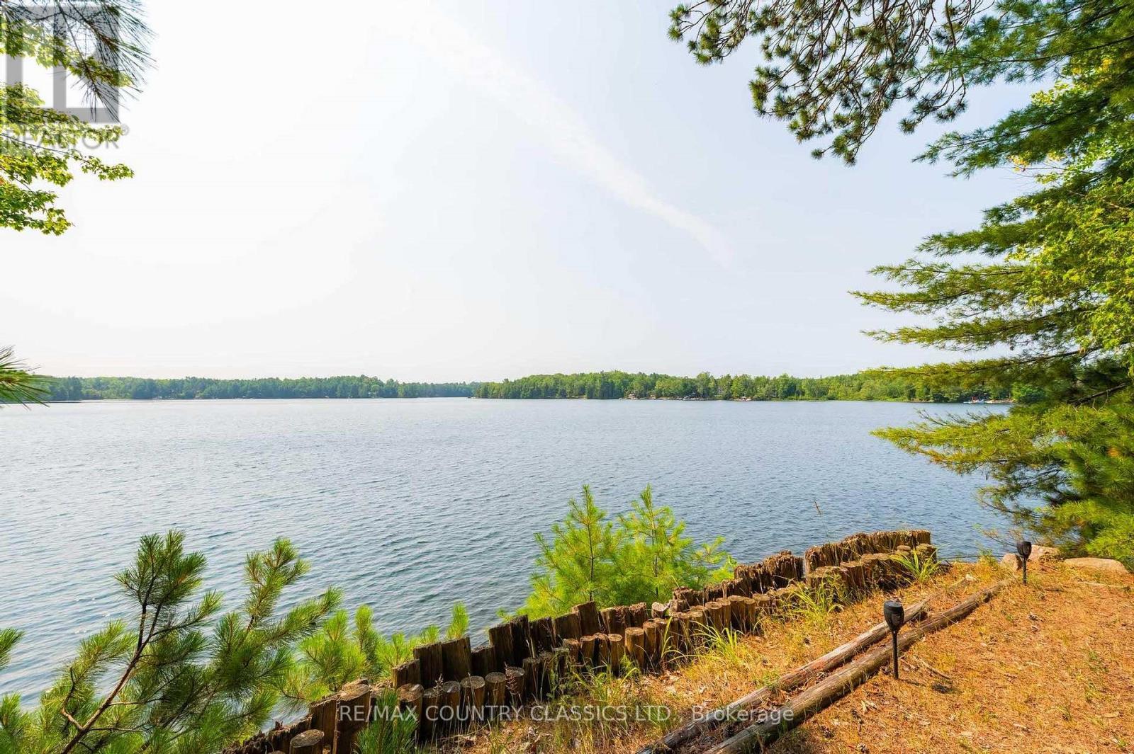 118 Quail Lane, North Kawartha, Ontario  K0L 1A0 - Photo 8 - X12915060