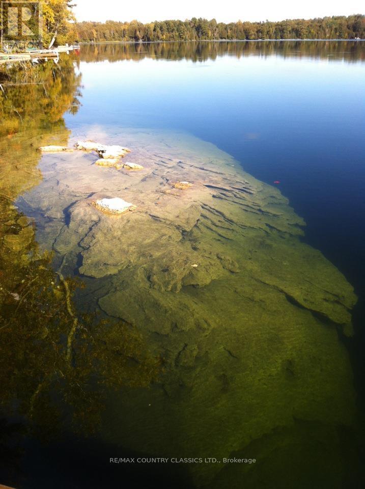 143 Scott Settlement Road, North Kawartha, Ontario  K0L 1A0 - Photo 14 - X12915072