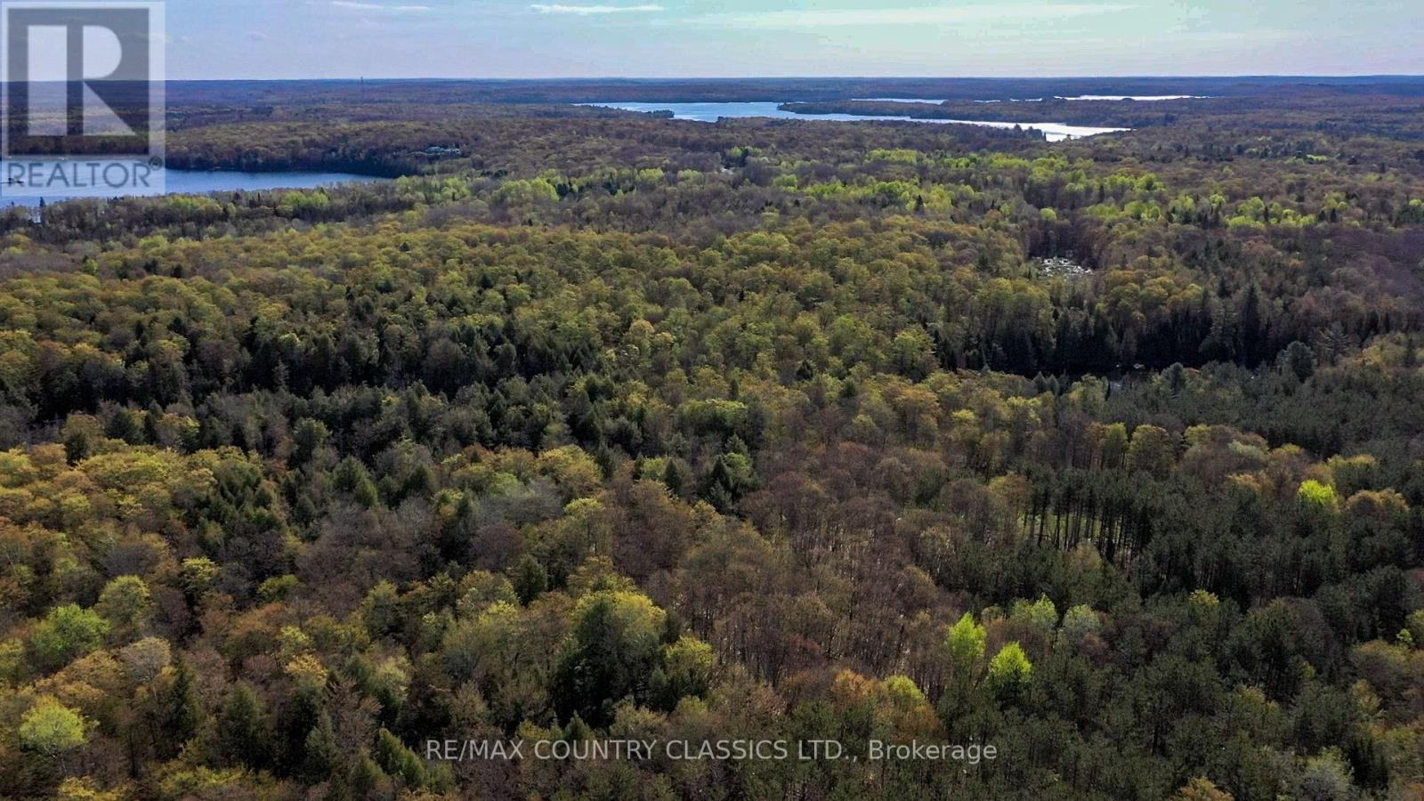 0 Trotter Oitment Road N, North Kawartha, Ontario  K0L 1A0 - Photo 18 - X12915076