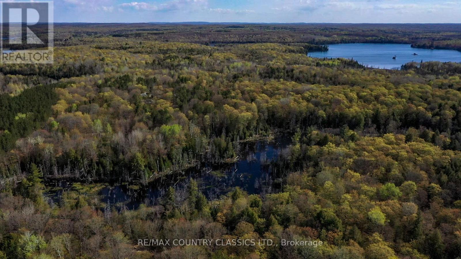 0 Trotter Oitment Road N, North Kawartha, Ontario  K0L 1A0 - Photo 3 - X12915076
