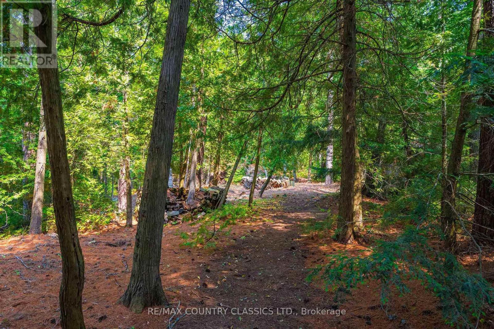 22 Chandos Lk Balmer Island, North Kawartha, Ontario  K0L 1A0 - Photo 35 - X12915080