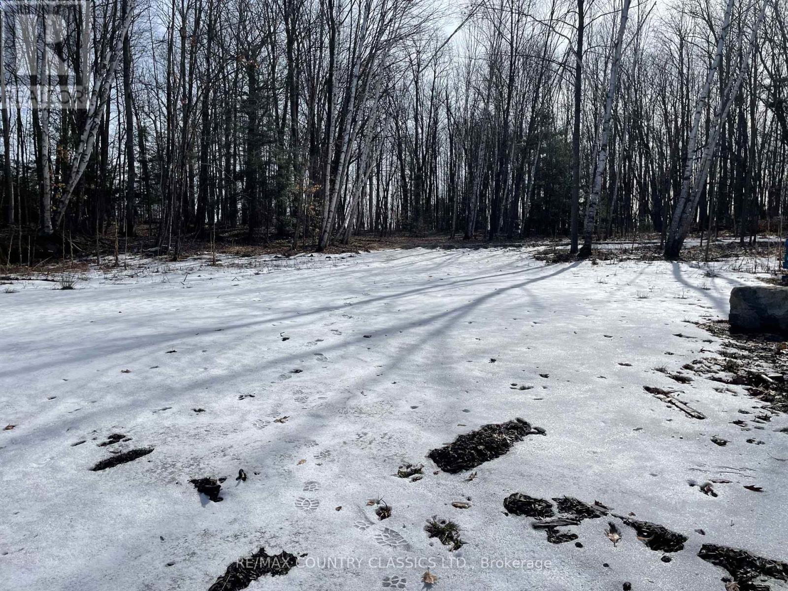 24 Daniels Lane, North Kawartha, Ontario  K0L 1A0 - Photo 28 - X12915084