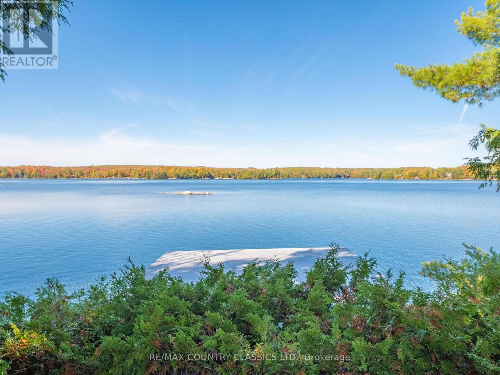 27 Martin Lane, North Kawartha, Ontario  K0L 1A0 - Photo 10 - X12915090