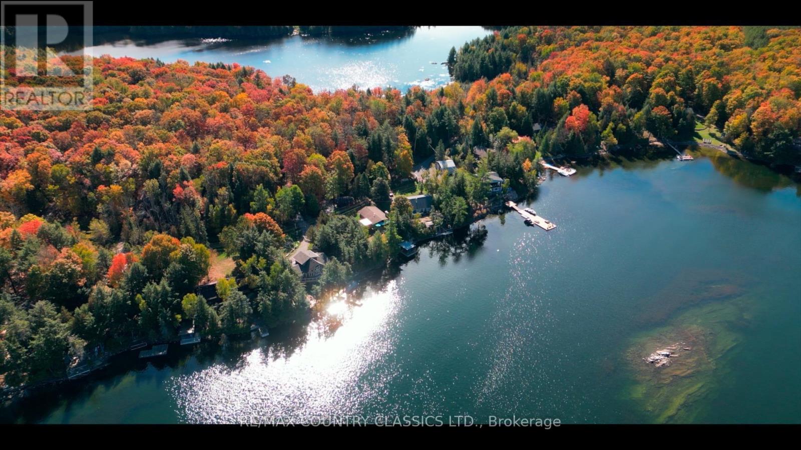 27 Martin Lane, North Kawartha, Ontario  K0L 1A0 - Photo 27 - X12915090