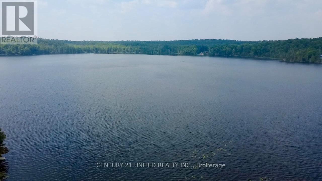 16 Fire Route 311, Trent Lakes, Ontario  K0L 1J0 - Photo 16 - X12918448