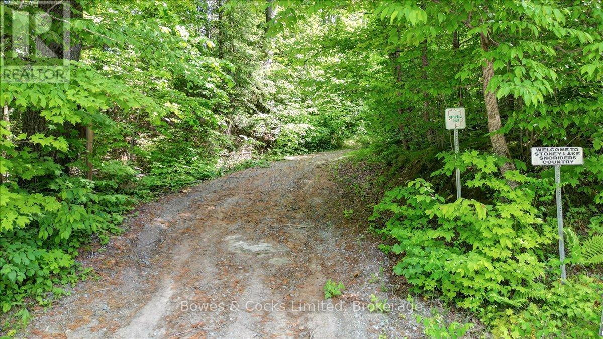 49 Mcfadden Road, North Kawartha, Ontario  K0L 1A0 - Photo 25 - X12919138