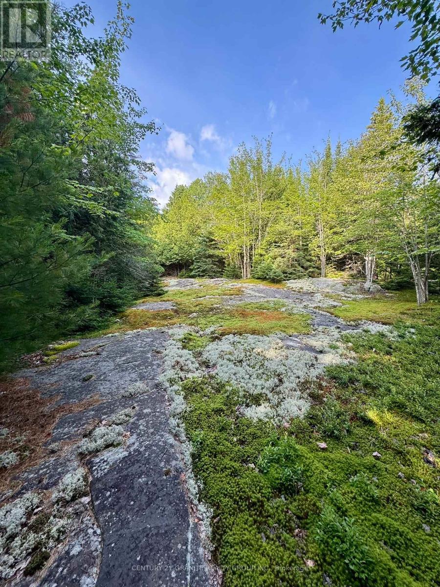 5280 Boulter Road, Carlow/mayo (Mayo Ward), Ontario  K0L 1G0 - Photo 11 - X12919402