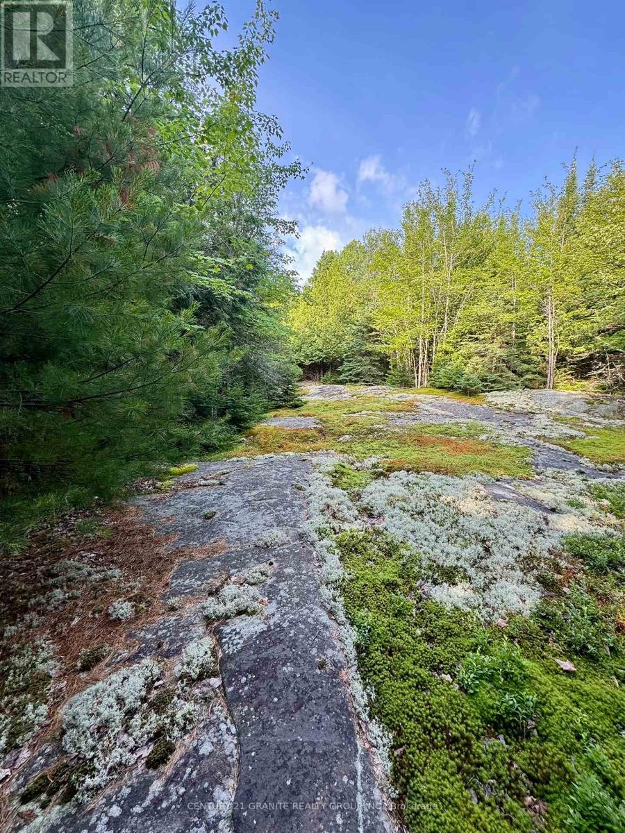 5280 Boulter Road, Carlow/mayo (Mayo Ward), Ontario  K0L 1G0 - Photo 13 - X12919402