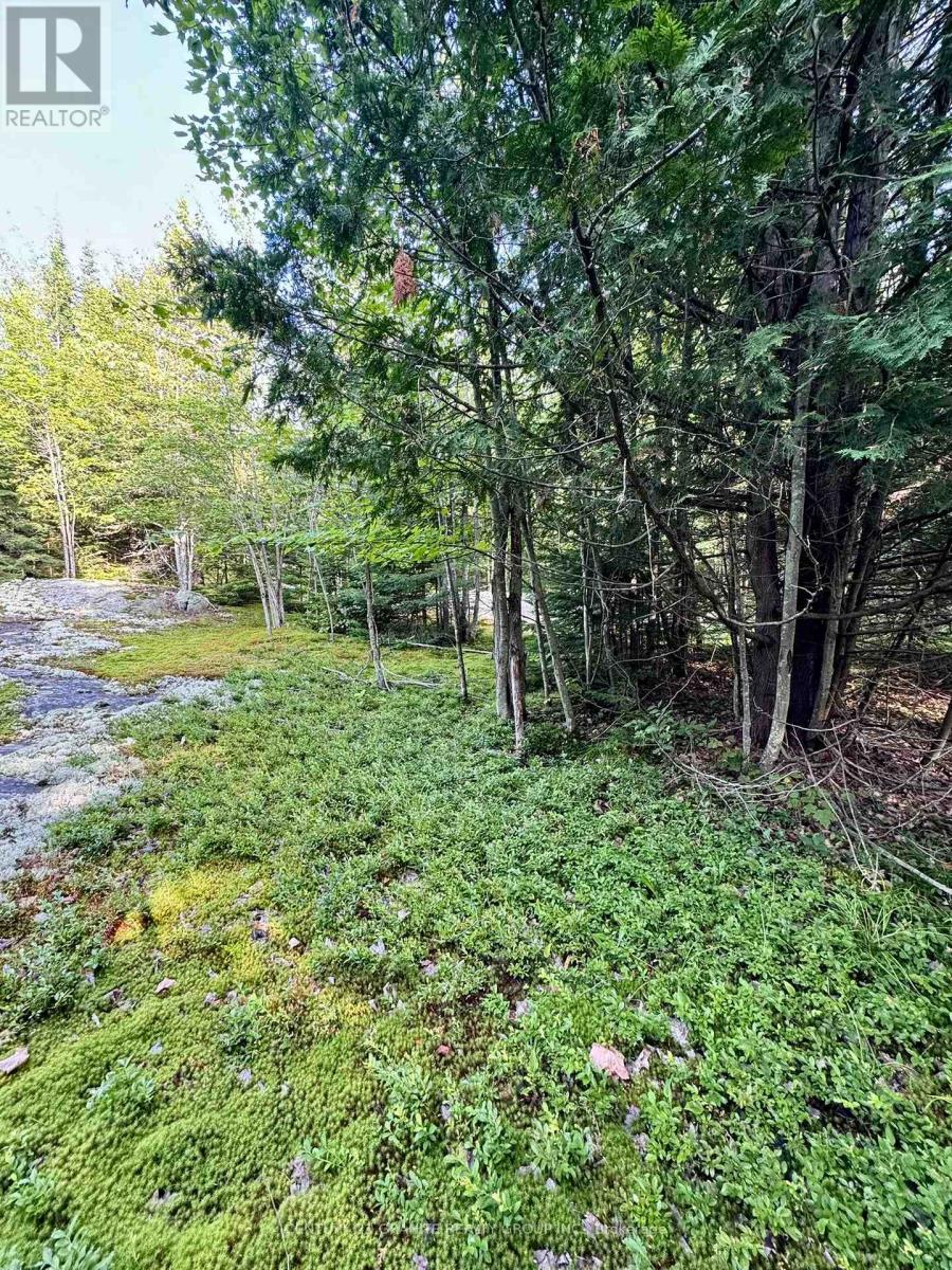 5280 Boulter Road, Carlow/mayo (Mayo Ward), Ontario  K0L 1G0 - Photo 16 - X12919402