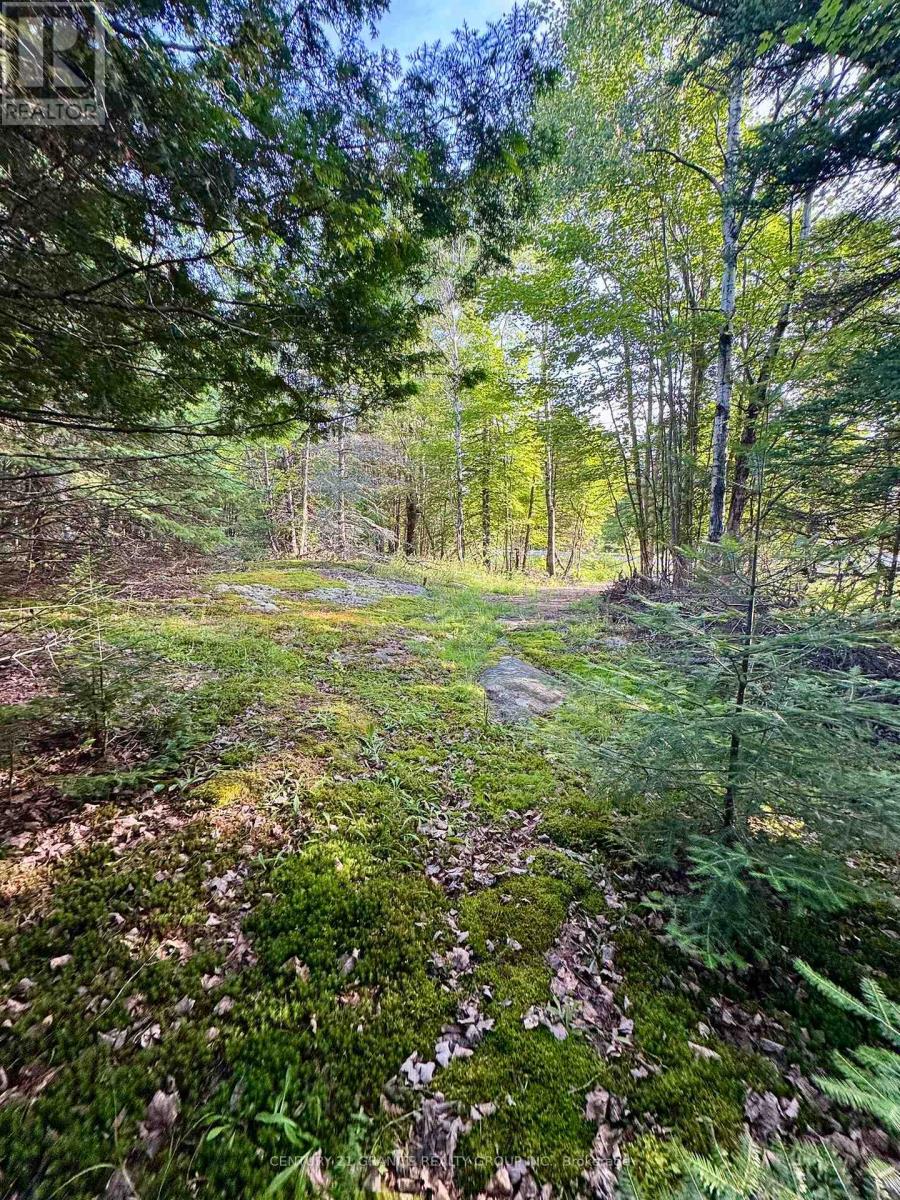 5280 Boulter Road, Carlow/mayo (Mayo Ward), Ontario  K0L 1G0 - Photo 17 - X12919402