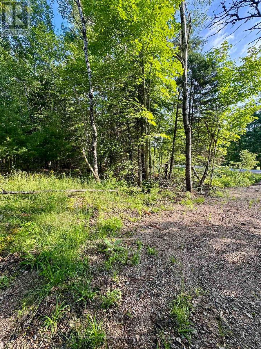 5280 Boulter Road, Carlow/mayo (Mayo Ward), Ontario  K0L 1G0 - Photo 18 - X12919402