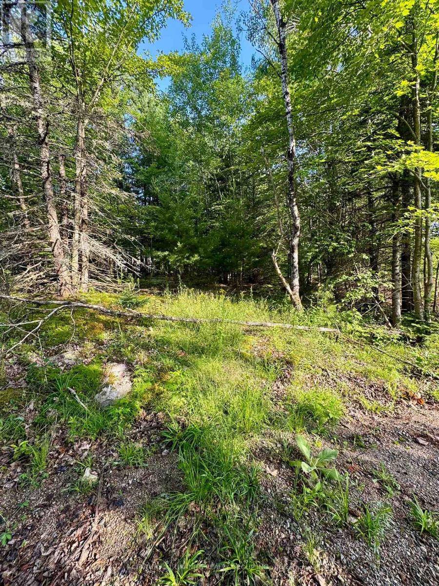 5280 Boulter Road, Carlow/mayo (Mayo Ward), Ontario  K0L 1G0 - Photo 19 - X12919402