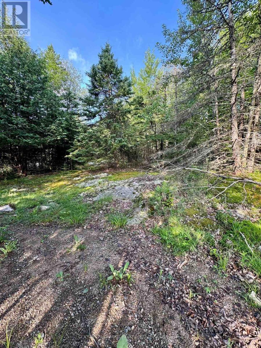 5280 Boulter Road, Carlow/mayo (Mayo Ward), Ontario  K0L 1G0 - Photo 20 - X12919402