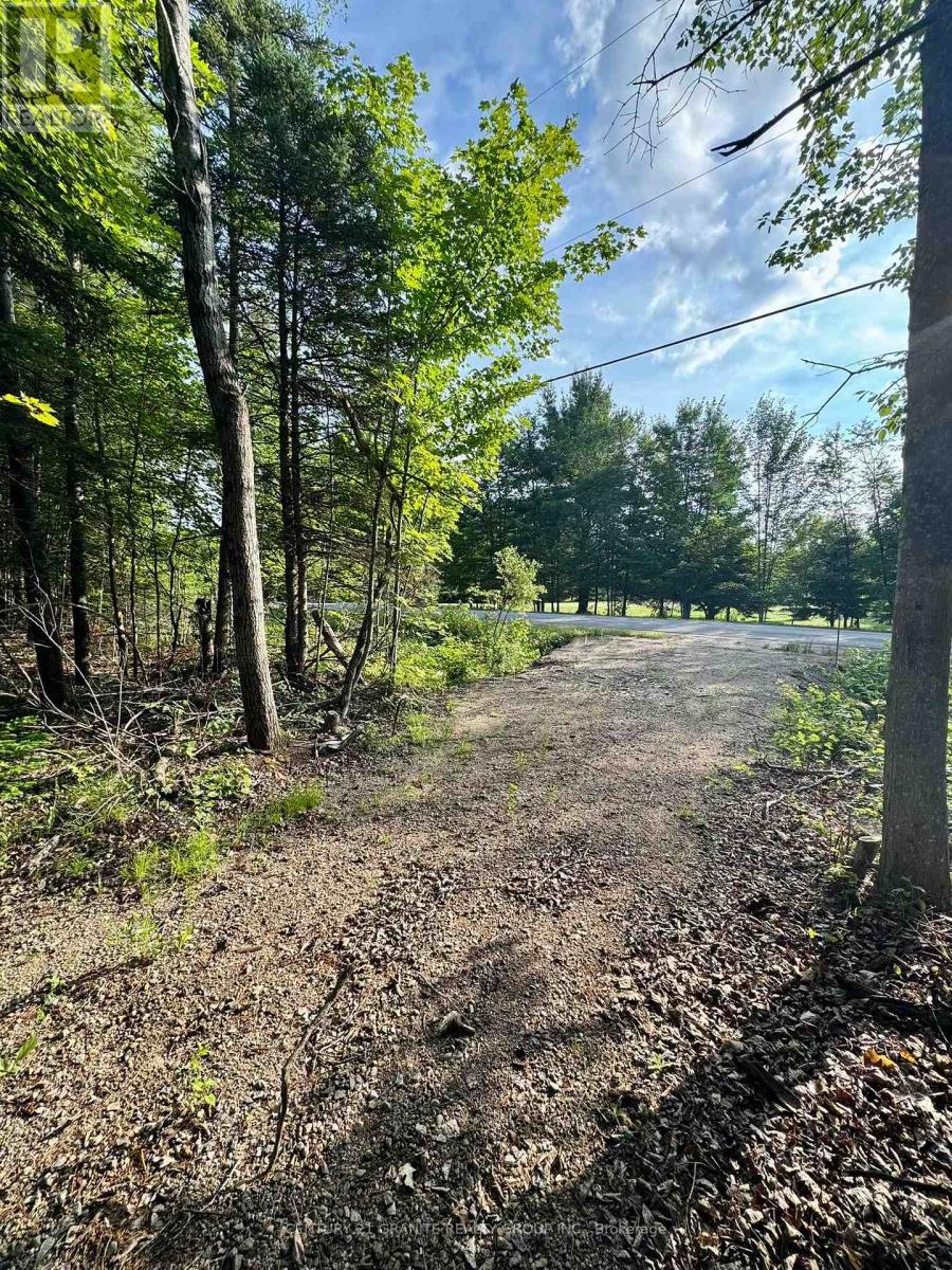 5280 Boulter Road, Carlow/mayo (Mayo Ward), Ontario  K0L 1G0 - Photo 21 - X12919402