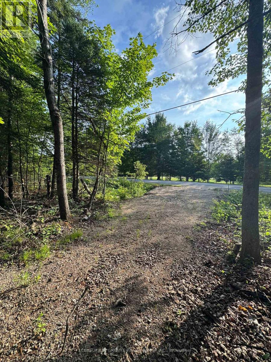 5280 Boulter Road, Carlow/mayo (Mayo Ward), Ontario  K0L 1G0 - Photo 22 - X12919402