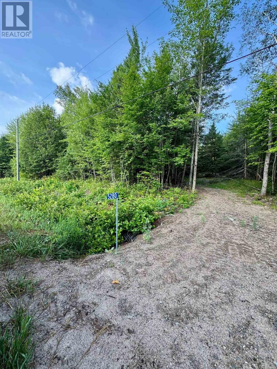 5280 Boulter Road, Carlow/mayo (Mayo Ward), Ontario  K0L 1G0 - Photo 6 - X12919402