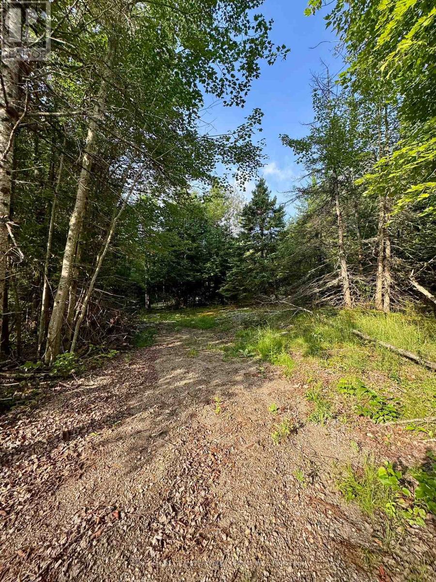 5280 Boulter Road, Carlow/mayo (Mayo Ward), Ontario  K0L 1G0 - Photo 9 - X12919402