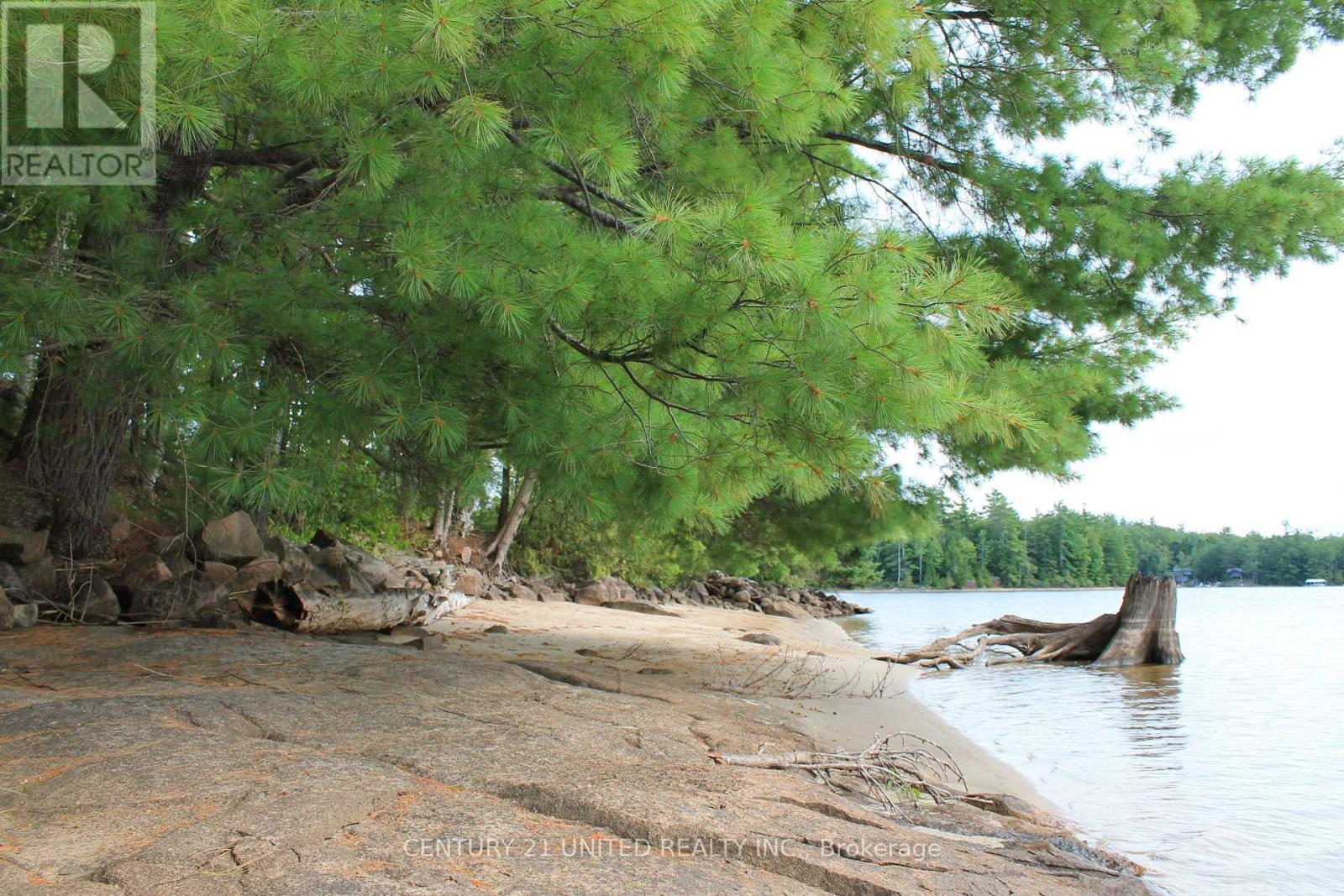 45 Fire Route 223, Trent Lakes, Ontario  K0L 1J0 - Photo 30 - X12920146