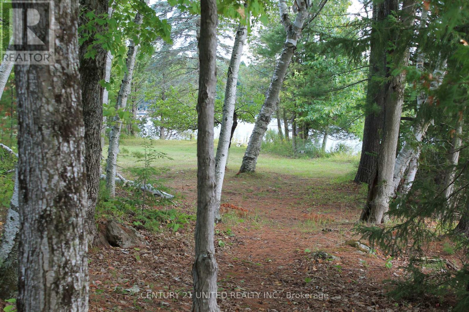 45 Fire Route 223, Trent Lakes, Ontario  K0L 1J0 - Photo 32 - X12920146