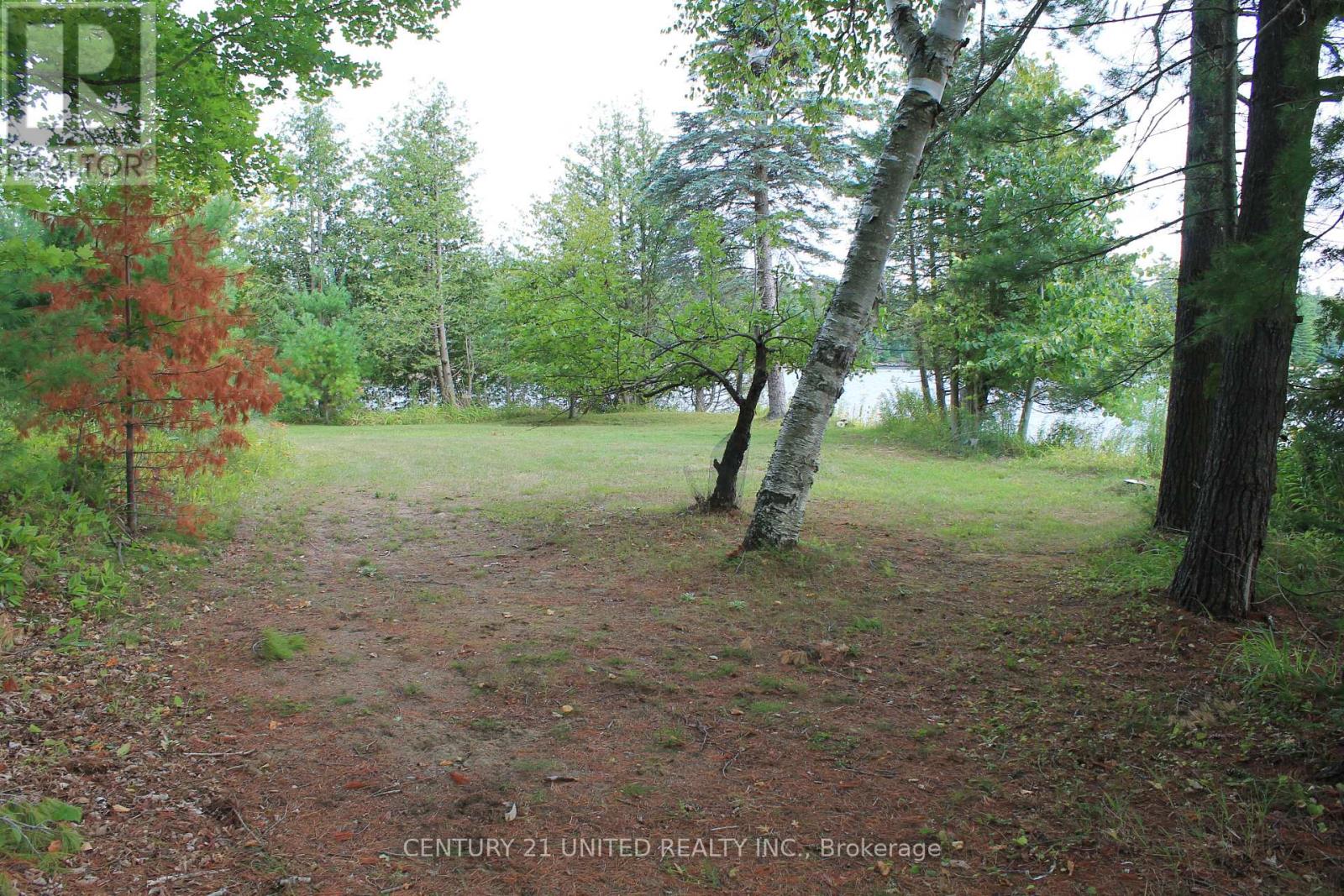 45 Fire Route 223, Trent Lakes, Ontario  K0L 1J0 - Photo 33 - X12920146